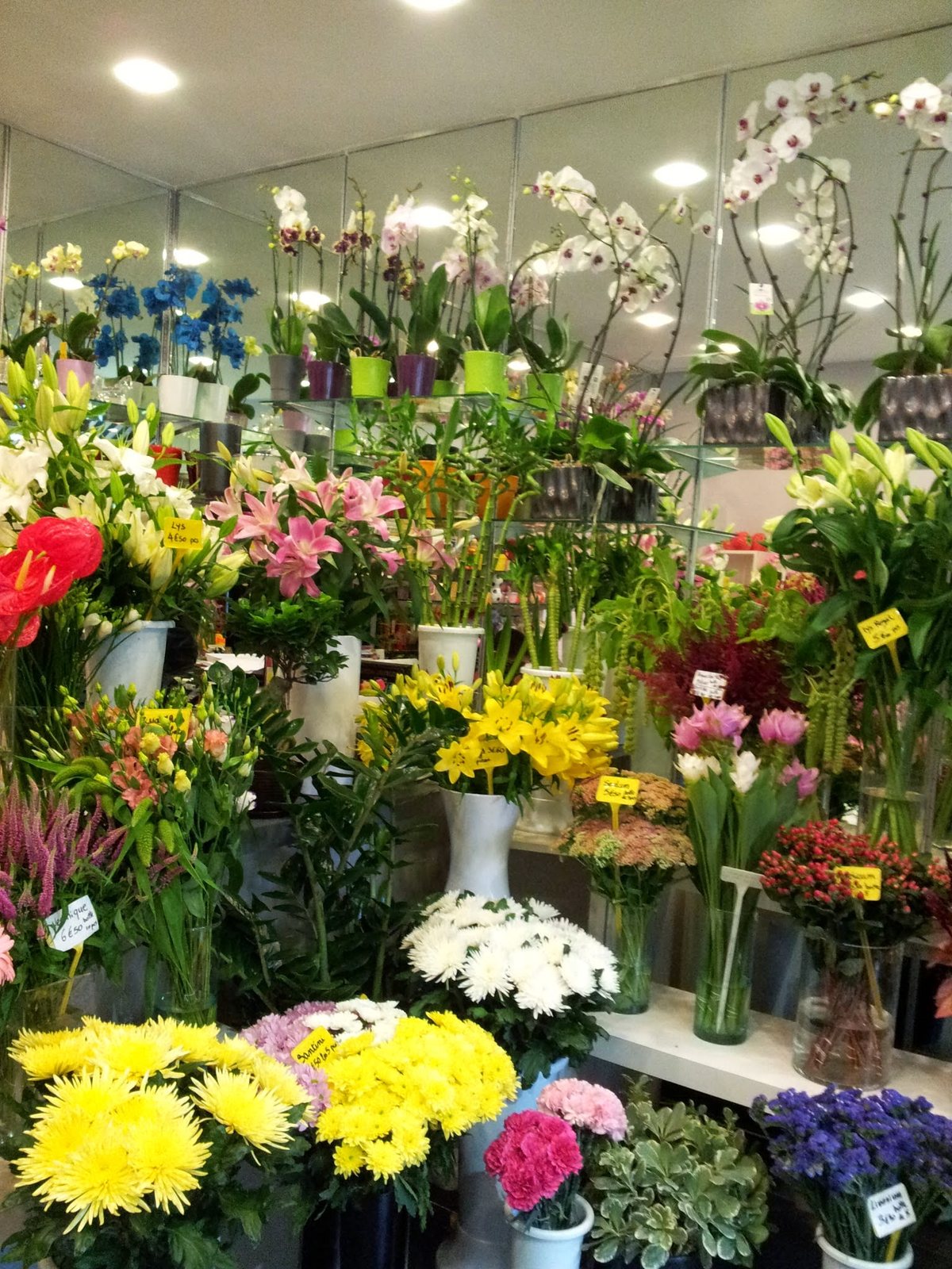 Fleurs coupées dans la boutique : chrysanthèmes, lys, œillets