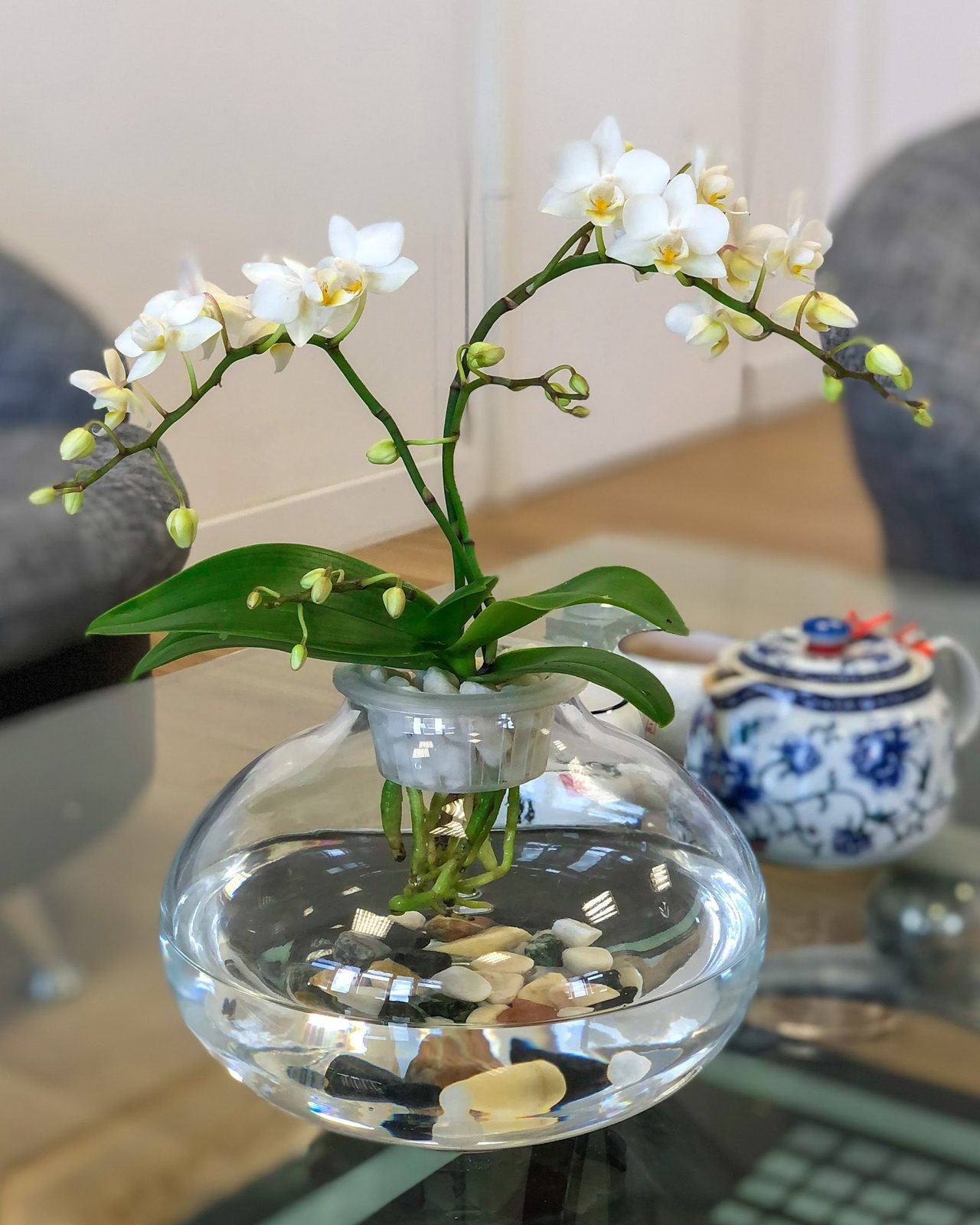 Orchidée blanche dans un vase boule en verre