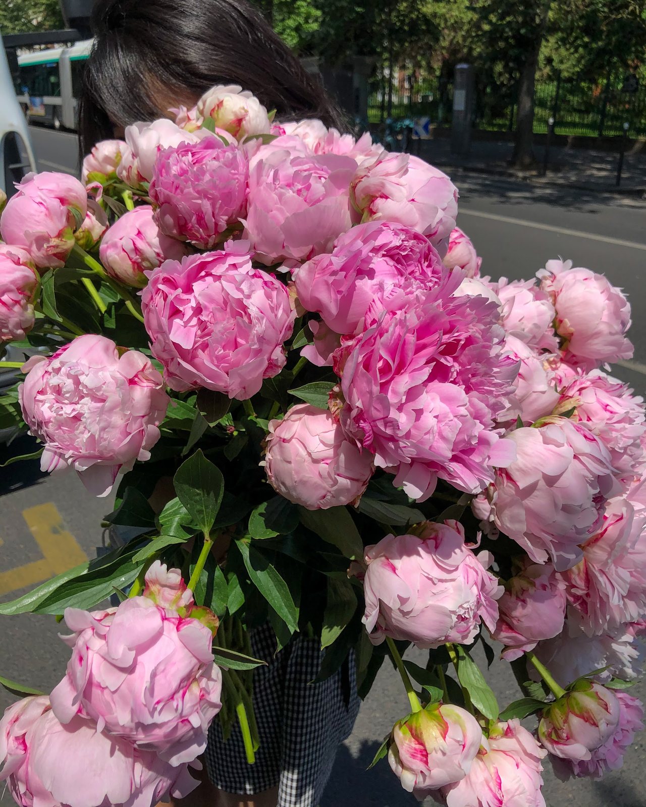 Brassée de pivoines roses