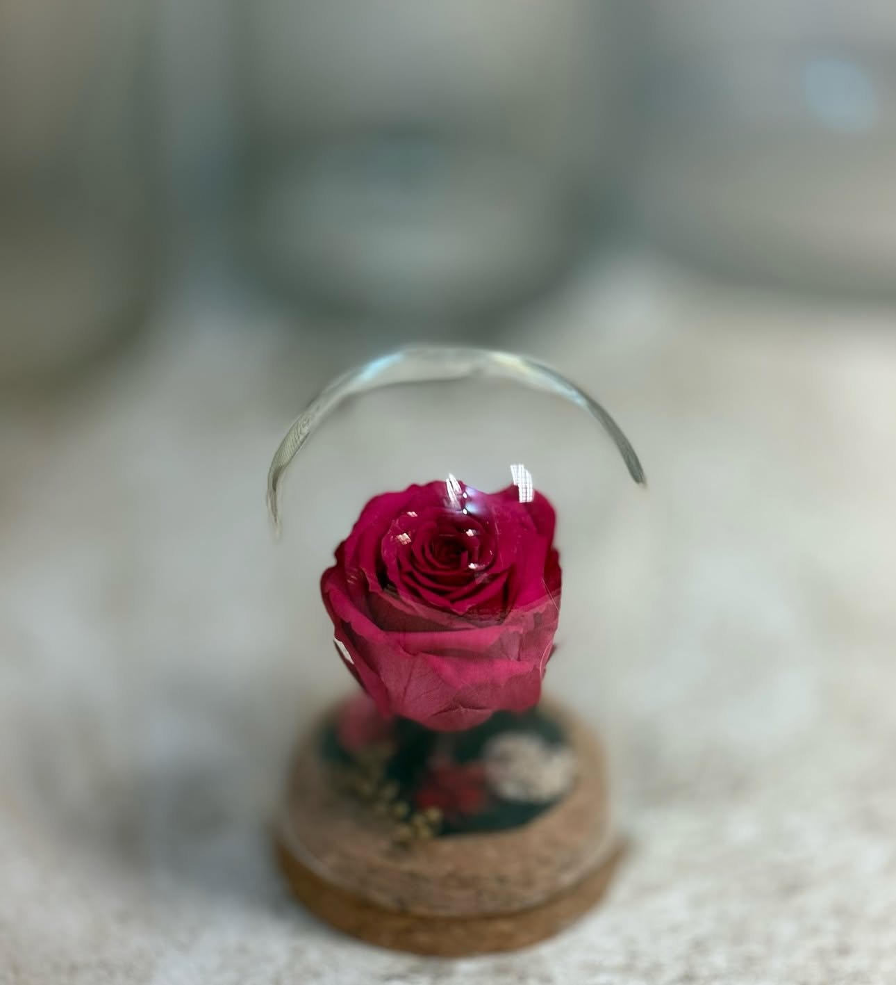 Rose éternelle rouge sous cloche en verre