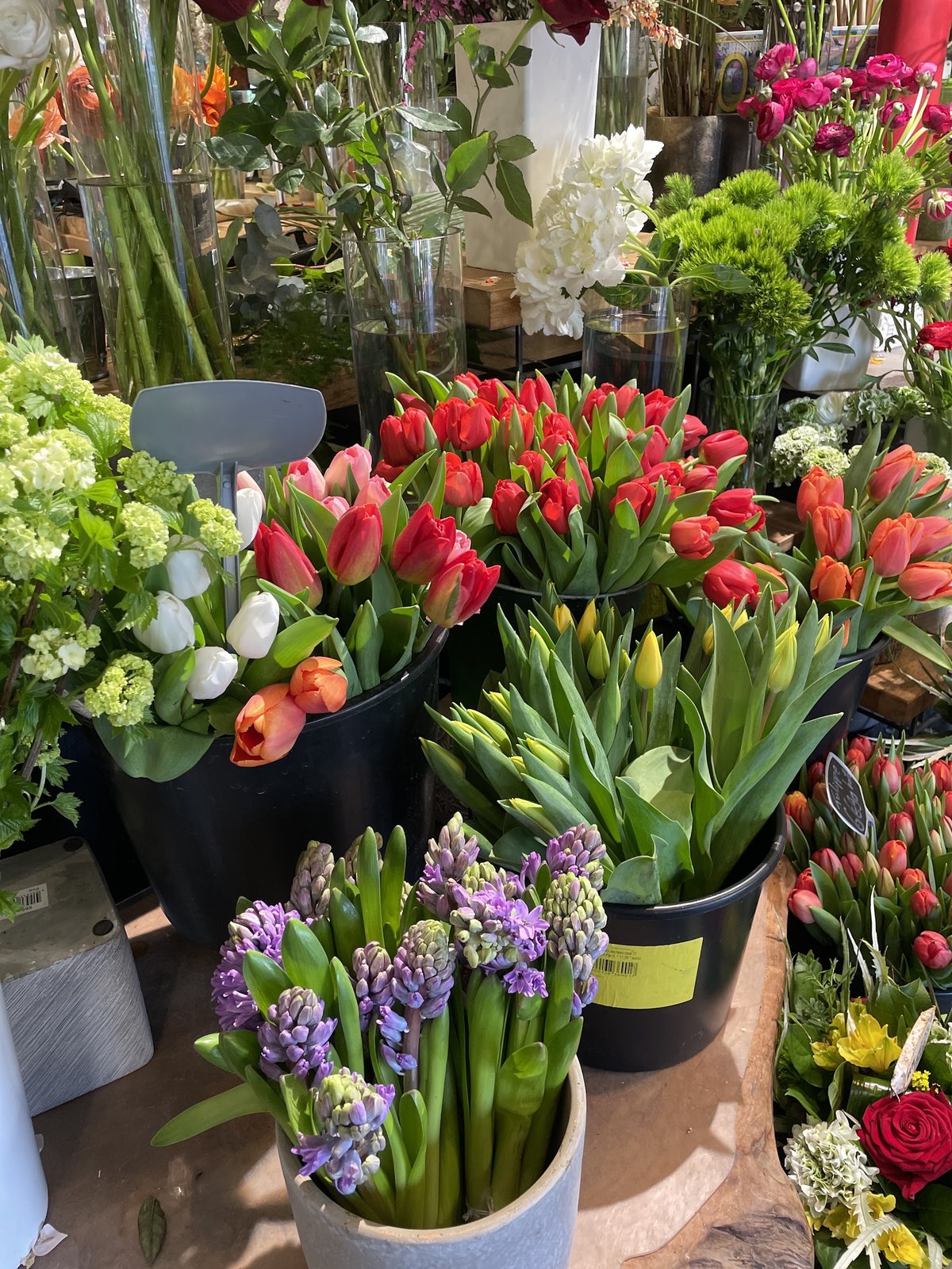 Tulipes rouges, jacinthes et hortensia vert
